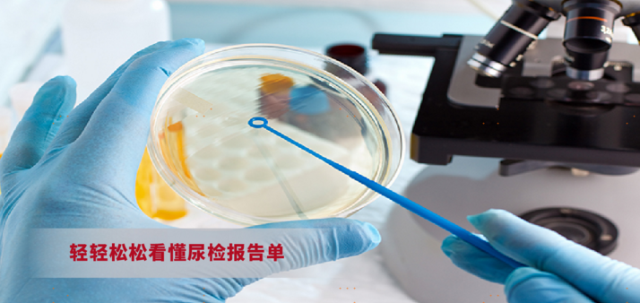 尿常规检查结果怎么看?这是一篇最全的尿检报告说明，让您轻轻松松看懂尿检报告单