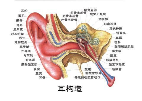 生活中导致眩晕的3种原因,和其治疗办法